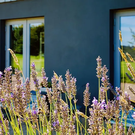 Apartamento Charmantes Am Nationalpark Eifel Simmerath