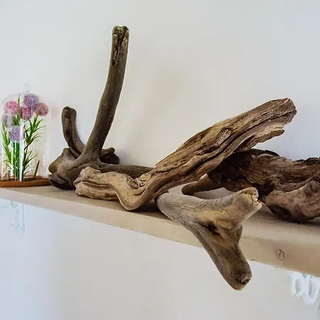 Charmantes Am Nationalpark Eifel Apartment *