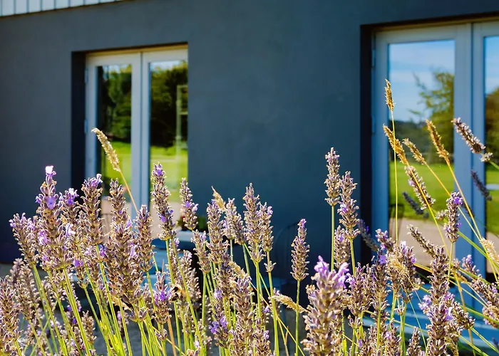 Apartamento Charmantes Am Nationalpark Eifel Simmerath
