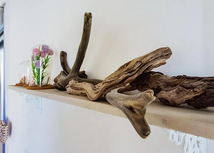 Charmantes Am Nationalpark Eifel Apartamento *